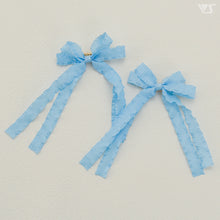 Load image into Gallery viewer, Ribbon Clips (Double / Pale Blue)