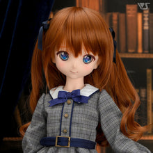 Load image into Gallery viewer, Plaid Dress Set / Mini (Gray)