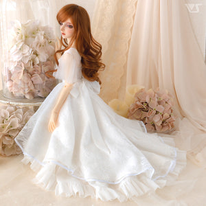 SD16 Long Back Dress(White)